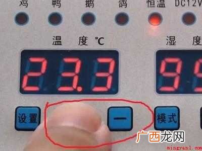 怎么孵鸡蛋的具体操作步骤 怎么孵鸡蛋