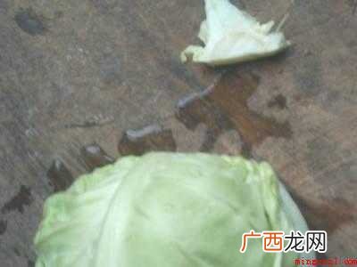 卷心菜怎么切的具体操作步骤 卷心菜怎么切