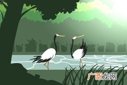 好风水坟地的前有5点讲究 好风水墓地的明显特征