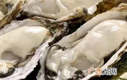 海蛎子是生蚝不是海鲜 海蛎子是生蚝不