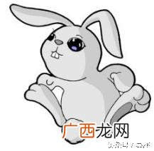 三大属相与属兔的姻配对最好 生肖兔和什么生肖最配