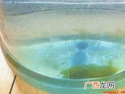 纯净水桶里面的绿色东西怎么清理