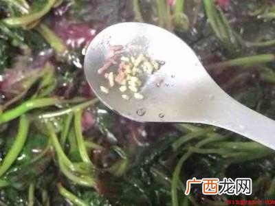 苋菜怎么做好吃又有营养的具体操作步骤 苋菜怎么做好吃又有营养