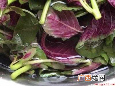 苋菜怎么做好吃又有营养的具体操作步骤 苋菜怎么做好吃又有营养
