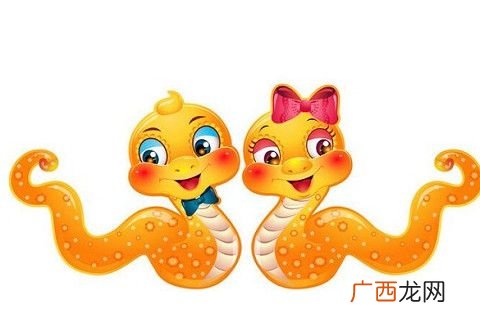 属蛇一辈子的三个贵人 属蛇的贵人是什么属相