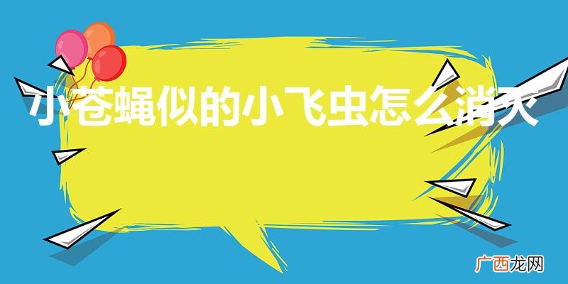 小苍蝇似的小飞虫怎么消灭（卫生间有小飞虫怎么根除)