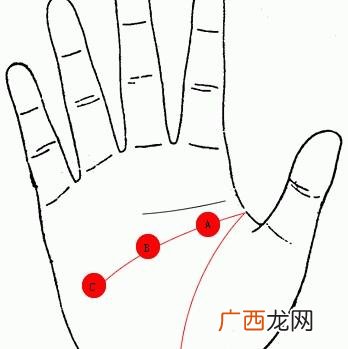 智慧线中间分叉有五种情况 智慧线中间分叉必有财