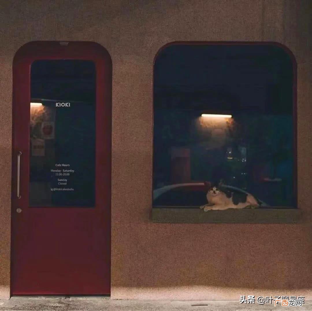 天蝎座遇见双子座很有共同语言 双子座和天蝎座配吗