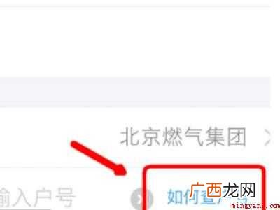 演示机型:Iphone 12 网上如何查询燃气户号