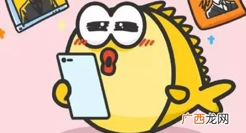 闲鱼验货宝对卖家而言安全吗 闲鱼验货中心会调包吗是真的吗