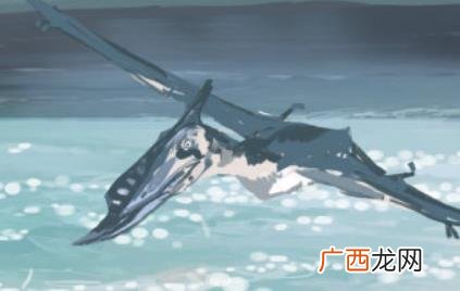 抖音热梗去码头整点薯条是什么意思 去码头整点薯条啥梗是什么意思