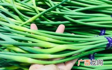 蒜苔放冰箱里面一般放多久 蒜苔放冰箱可以放多久