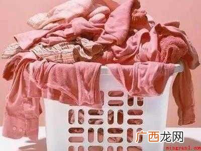 刺猬怎么抓的具体操作步骤 刺猬怎么抓