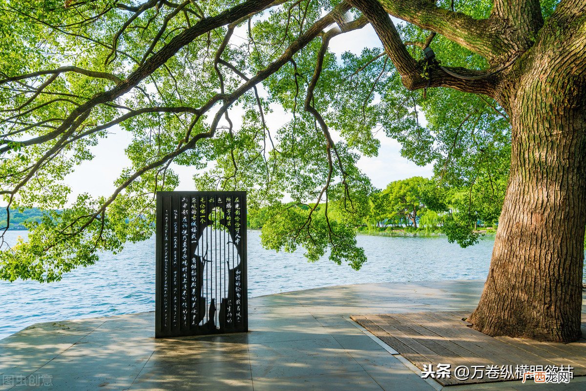 民国才女林徽因的生平事迹概括 林徽因的一生简介