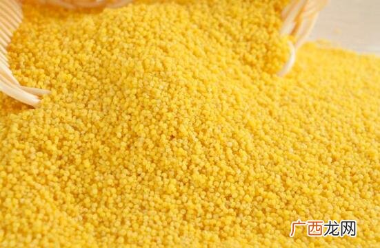 小米和薏米的营养价值区别 小米和薏米的区别