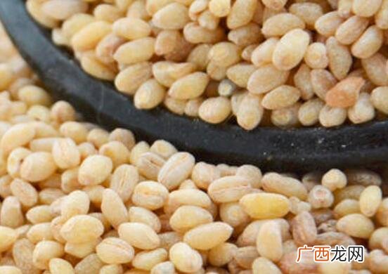 熟麦仁怎么吃 可以做枸杞羊肉麦仁粥 熟麦仁怎么吃