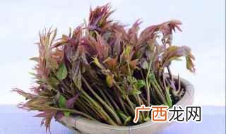 香椿芽的腌制方法 怎样腌制香椿芽
