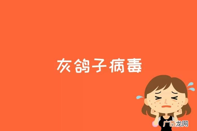 灰鸽子服务端文件名是什么 灰鸽子病毒是什么