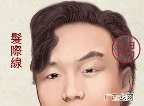 发际线低的人命运讲解 发际线低的人笨吗