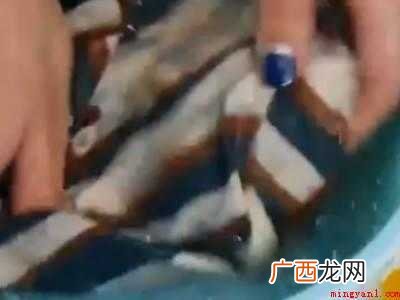桑蚕丝怎么洗不缩水的具体操作步骤 桑蚕丝怎么洗不缩水