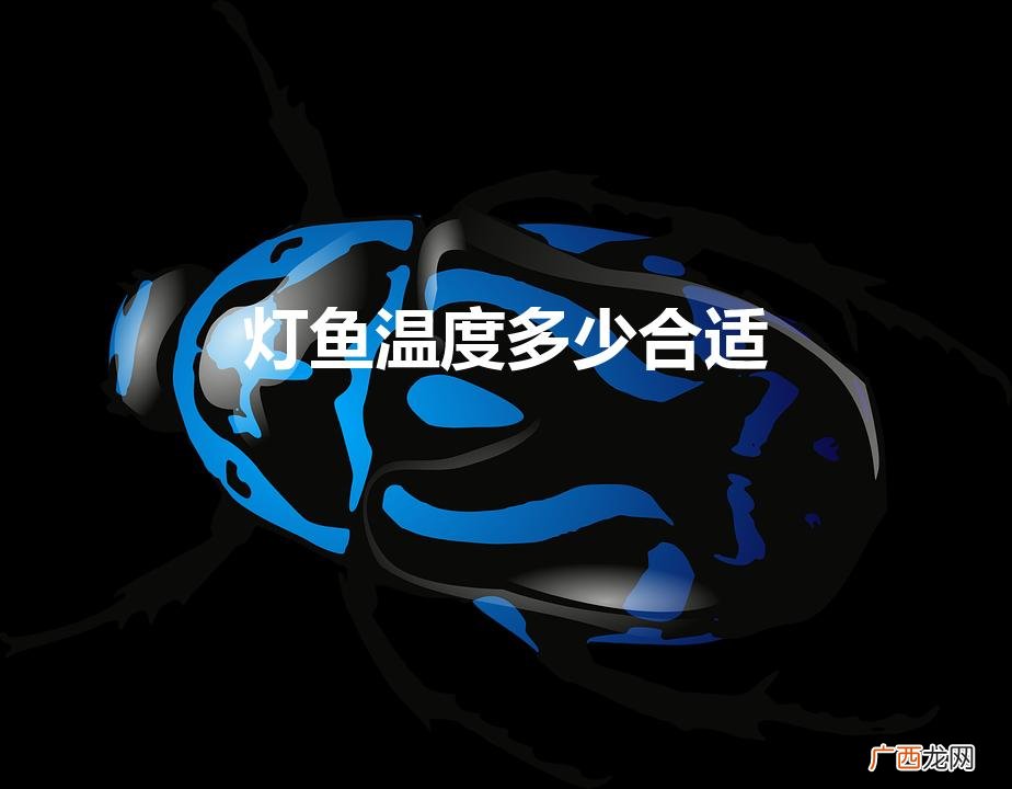 灯科鱼温度多少合适 灯鱼温度多少合适
