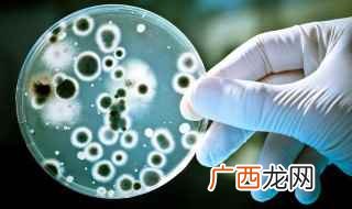 细菌保存于穿刺培养物的优点 细菌的保存方法