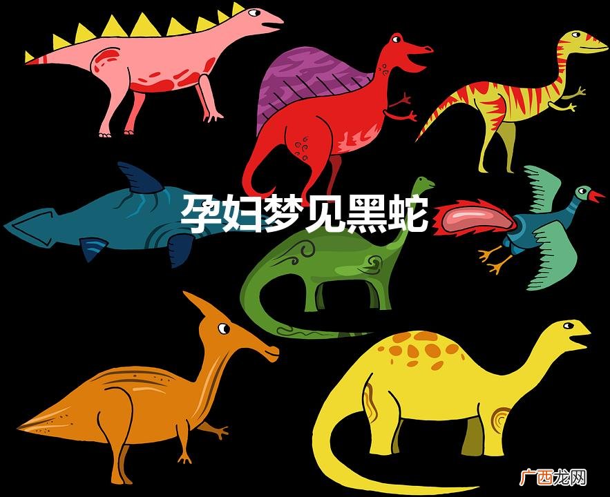 孕妇梦见黑蛇是什么意思 孕妇梦见黑蛇