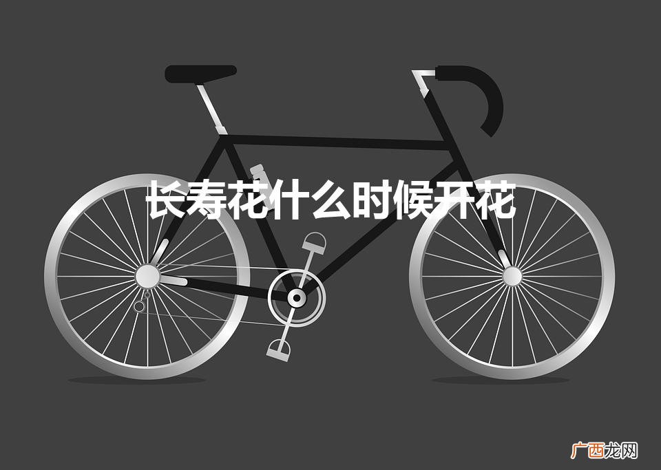 长寿花什么时候开花(长寿花为什么不开花光长叶)