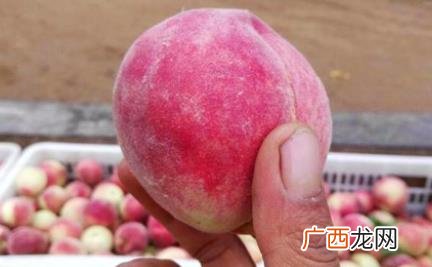 桃子表面的毛用什么清除好