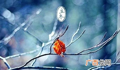 立冬萝卜不拔会冻吗 立冬会上冻吗