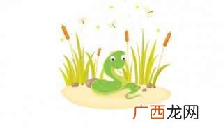 眼镜蛇属的成员有哪些 关于眼镜蛇的资料