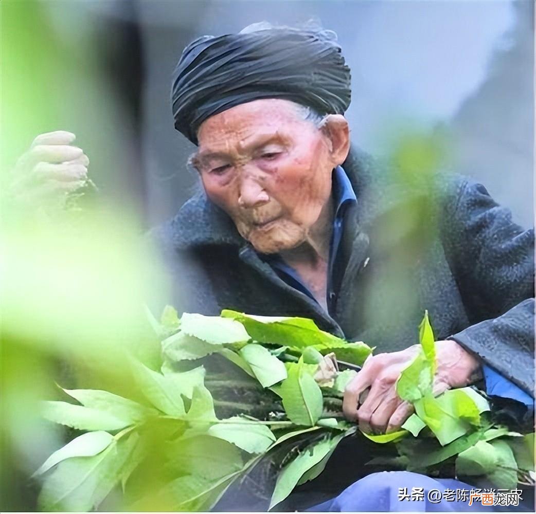 中国最长寿老人是谁?活了多少岁? 中国最长寿老人是谁