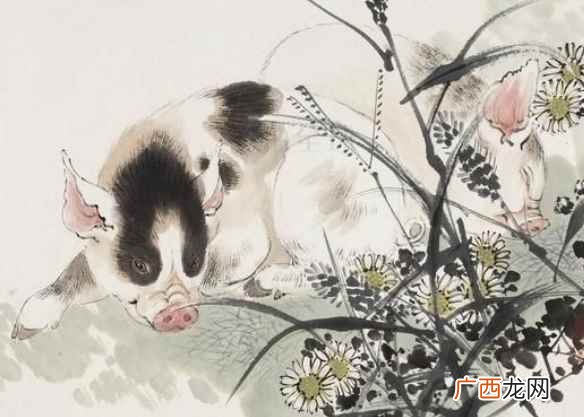 每一年的幸运色都不一样,其中黑色代表的是事业运势 属猪的幸运色是什么颜色