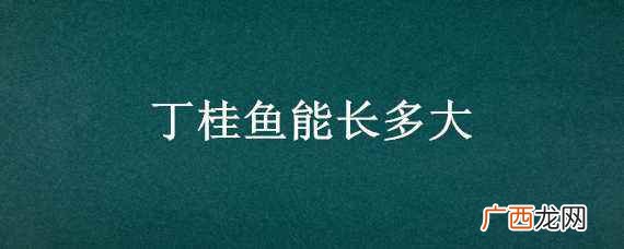 丁桂鱼能长多大一条 丁桂鱼能长多大