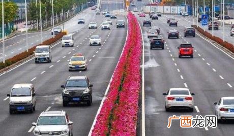 鄂字车牌号字母是哪里的“鄂”开头的车牌表示湖北省 鄂w是湖北哪里的车牌