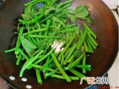 南瓜藤怎么炒才好吃的具体操作步骤 南瓜藤怎么炒才好吃