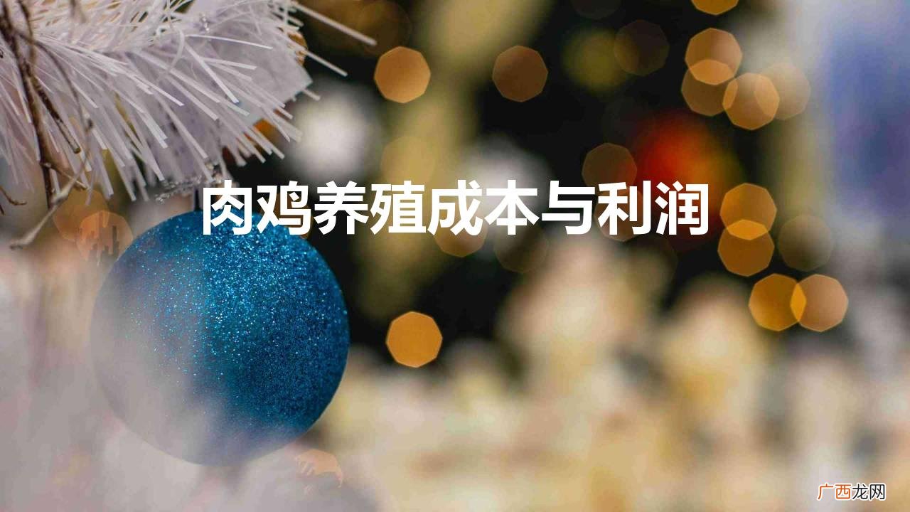 养鸡的利润与成本 肉鸡养殖成本与利润