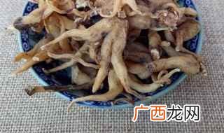 佛手参的功效与作用 清热止咳祛痰平喘