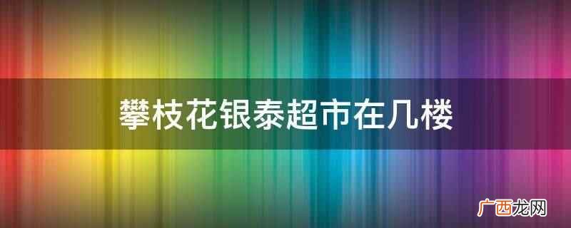 攀枝花银泰超市在负一楼 攀枝花银泰超市在几楼