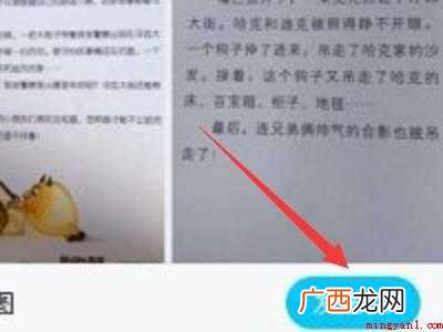 演示机型:Iphone 12 qq提取图片文字在哪里