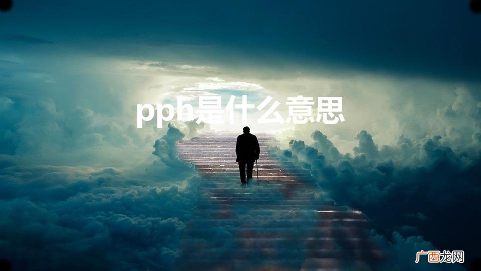 pph是什么意思（工厂pph是什么意思)