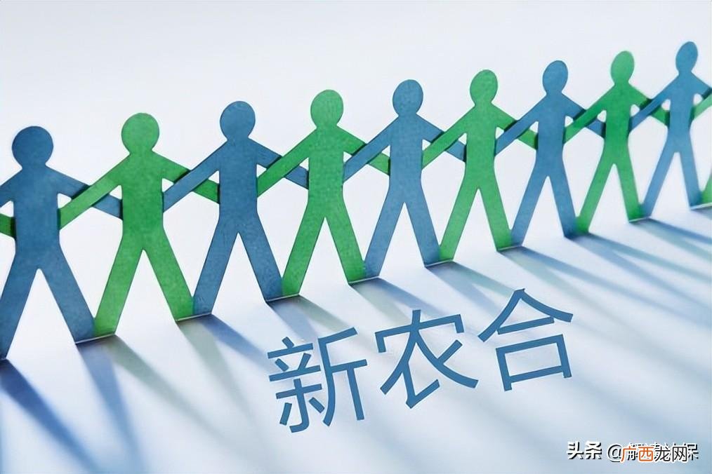 一起来看看4种缴费方式 2022年新农合错过了还能交吗