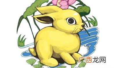 属兔人6个月份出生的人最好命 属兔几月出生最好命运