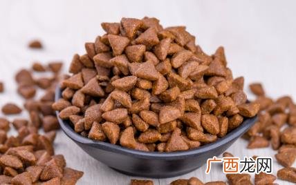 猫呕吐未消化的猫粮和黄水 猫吃了猫粮呕吐是什么原因
