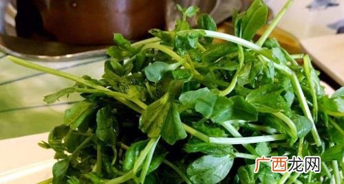 豌豆苗可以怎么做菜吃 豌豆苗的做法怎么做啊