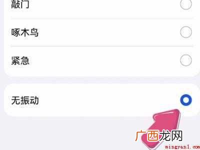 演示机型:Iphone 12 微信怎么关震动