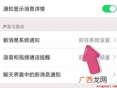 演示机型:Iphone 12 微信怎么关震动