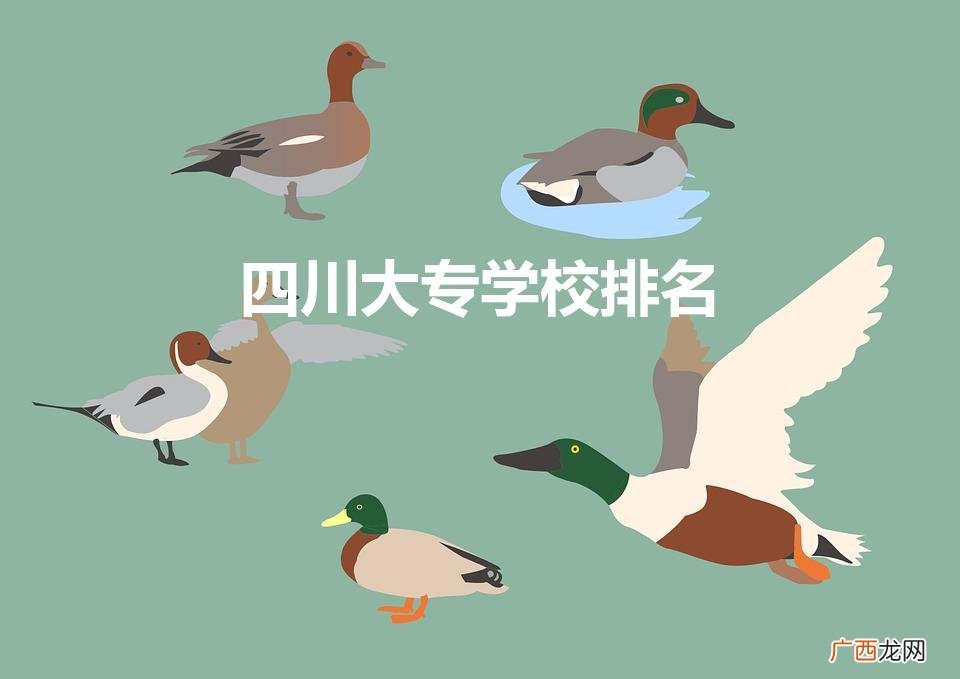 四川大专院校排名 四川大专学校排名