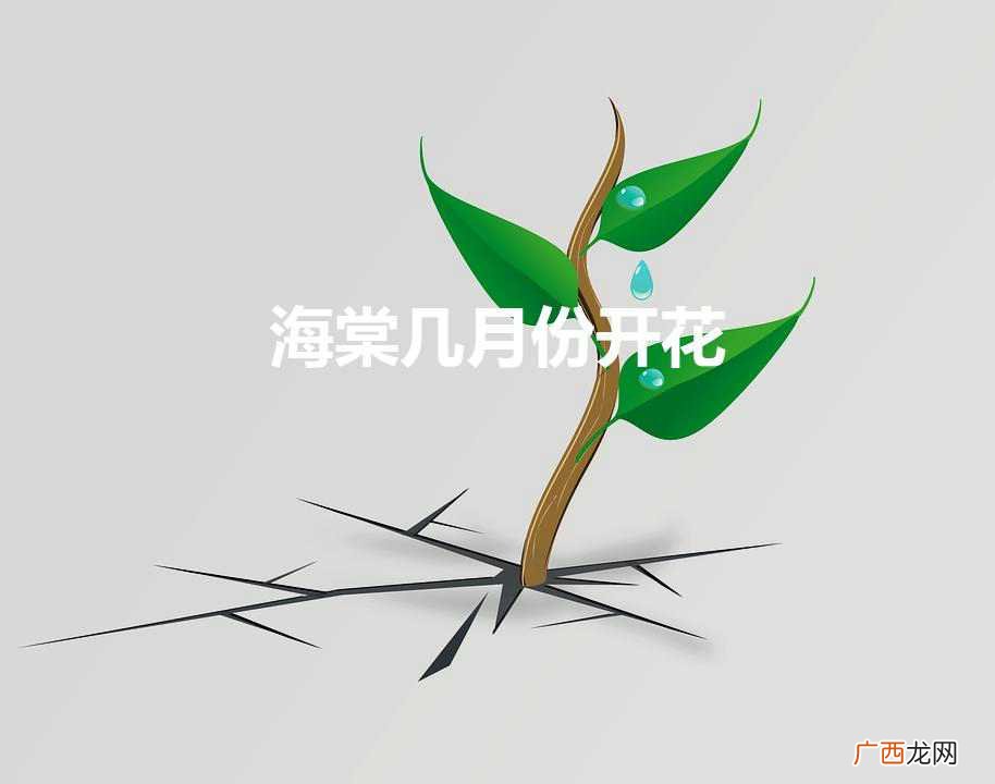 海棠几月份开花（西府海棠几月份开花)