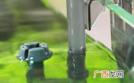 鱼缸水泵进气管喷水怎么办 鱼缸水泵出水但不喷气泡怎么回事
